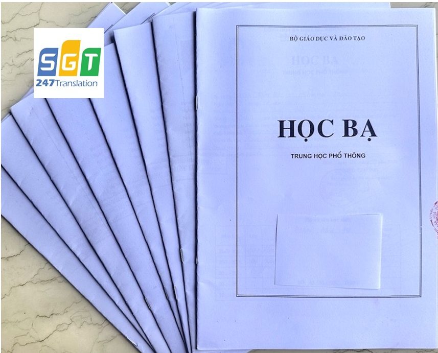 Mẫu học thông dụng